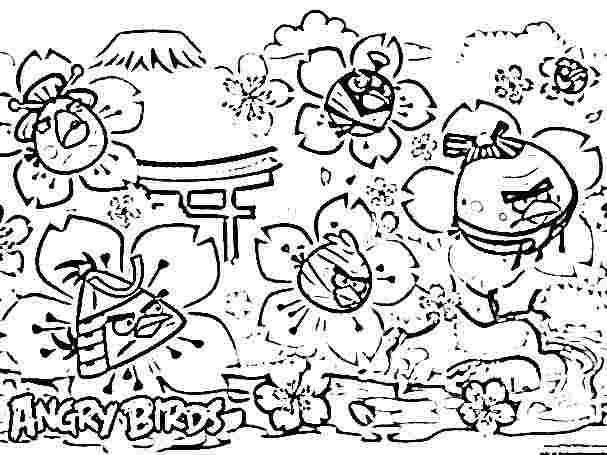 Dibujo para colorear de Angry Birds Seasons: Red, Chuck y los demás en el  jardín